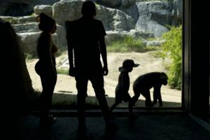 Carlin Stiehl/Los Angeles Times/TNS