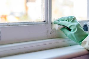 Regularly monitor these hidden moldy spots for a safe and sanitary home. (Olga Dobrovolska/Getty Images/TCA)