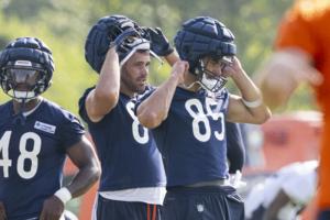 Brian Cassella/Chicago Tribune/TNS