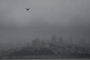 Justin Sullivan/Getty Images North America/TNS