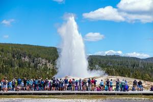 Old Faithful. Dreamstime/TCA