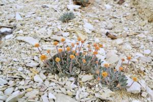 U.S. Fish & Wildlife Service/TNS