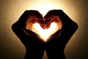 Hands in shape of heart signifying love. Dreamstime/TCA