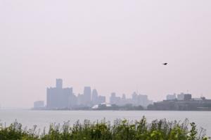 Robin Buckson, The Detroit News/The Detroit News/TNS