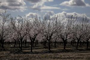 Gary Coronado/Los Angeles Times/TNS