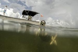MARTHA ASENCIO-RHINE/Tampa Bay Times/TNS