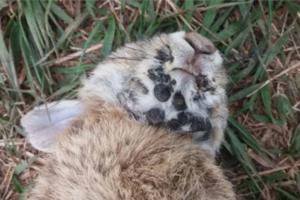 Colorado Parks and Wildlife/Colorado Parks and Wildlife/TNS