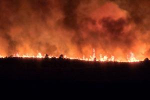 Elk and Lee Fire Information/TNS