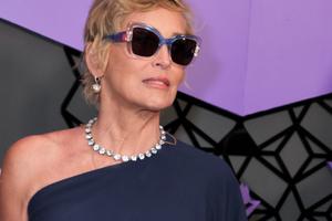 Bang Showbiz / Sharon Stone is back wearing 'lady pants'