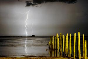 Douglas R. Clifford/The Tampa Bay Times/TNS