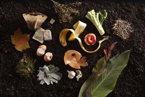 Reduce home and garden waste by composting these natural items. (Marty Baldwin/Dotdash Meredith/TCA)