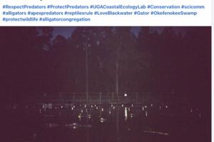UGA Coastal Ecology Lab FB/TNS