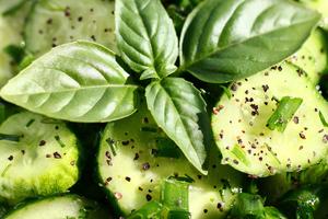 Read up on ingredients, such as cucumber and basil, that may help beat late summer heat. (Dreamstime/TCA)