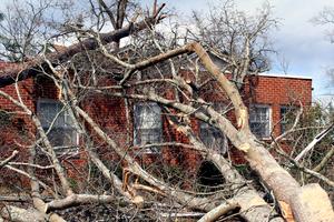 Tree falling on house,  an act of God. Dreamstime/TCA