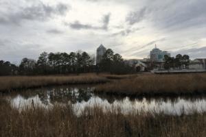 David Schleck/The Virginian-Pilot/TNS