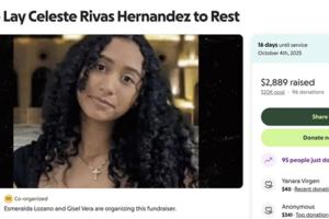 GoFundMe/TNS