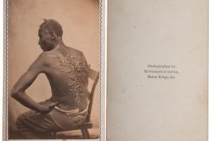 McPherson & Oliver/Wikimedia Commons/TNS/TNS