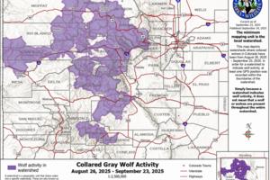 Colorado Parks and Wildlife/Colorado Parks and Wildlife/TNS