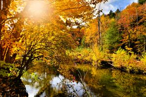 Sunlight through autumn leaves along a calm river with reflections, Vermont, USA. Dreamstime/TCA