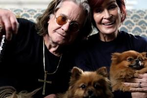 Bang Showbiz / Sharon Osbourne was looking forward to her retirement with Ozzy Osbourne.
