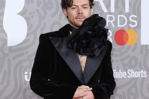 Bang Showbiz / Harry Styles is dating Zoe Kravitz