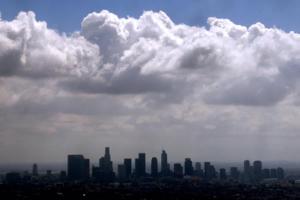 Genaro Molina/Los Angeles Times/TNS