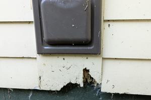 Rainwater splashing up from the gravel just below this dryer vent outlet is the primary cause of this wood rot. My guess is the painter never coated the bottom edge of the wood block, allowing water to soak into the end grain. (Tim Carter/TNS)