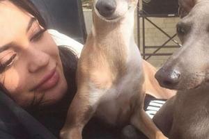 Bang Showbiz / Kylie Jenner is mourning the death of her dog
