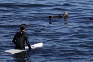 Gary Coronado/Los Angeles Times/TNS