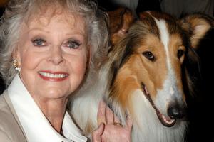 Bang Showbiz / June Lockhart and Lassie