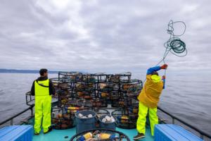 Brian van der Brug/Los Angeles Times/TNS