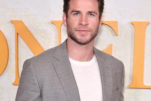Bang Showbiz / Liam Hemsworth is excited about his engagement news.
