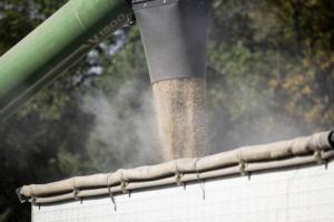 Renée Jones Schneider/The Minnesota Star Tribune/TNS