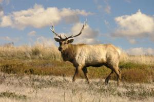 Jeffrey Banke/Dreamstime/TNS