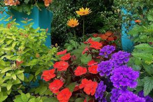 Norman Winter/Norman Winter/TNS