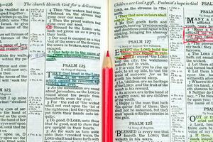 Bible study. Dreamstime/TCA