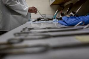 Gina Ferazzi/Los Angeles Times/TNS