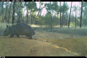 Queensland’s Department of the Environment, Tourism, Science and Innovation/TNS