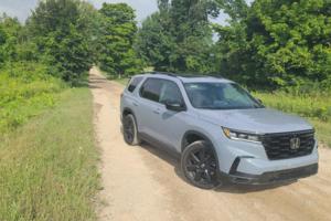 Henry Payne, The Detroit News/The Detroit News/TNS