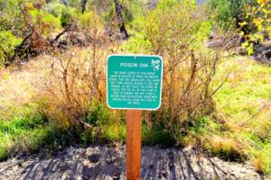 Dreamstime/Dreamstime/TNS