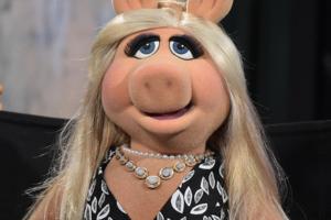 Theo Wargo/Getty Images North America/TNS