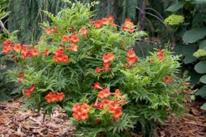 Norman Winter/TNS/TNS