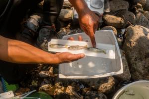 Gina Ferazzi/Los Angeles Times/TNS