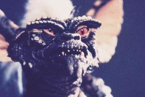 Bang Showbiz / Warner Bros is officially reviving its beloved Gremlins franchise