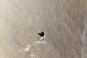 RJ Sangosti/The Denver Post/TNS