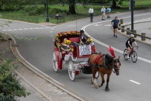 Barry Williams/New York Daily News/TNS