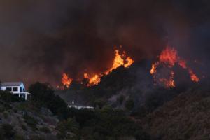 Brian van der Brug/Los Angeles Times/TNS