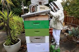 Kent Porter/The Press Democrat/TNS