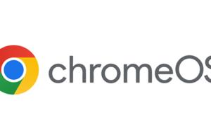 Courtesy Google/TNS/TNS