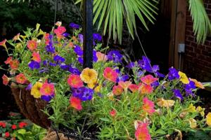 Norman Winter/Norman Winter/TNS